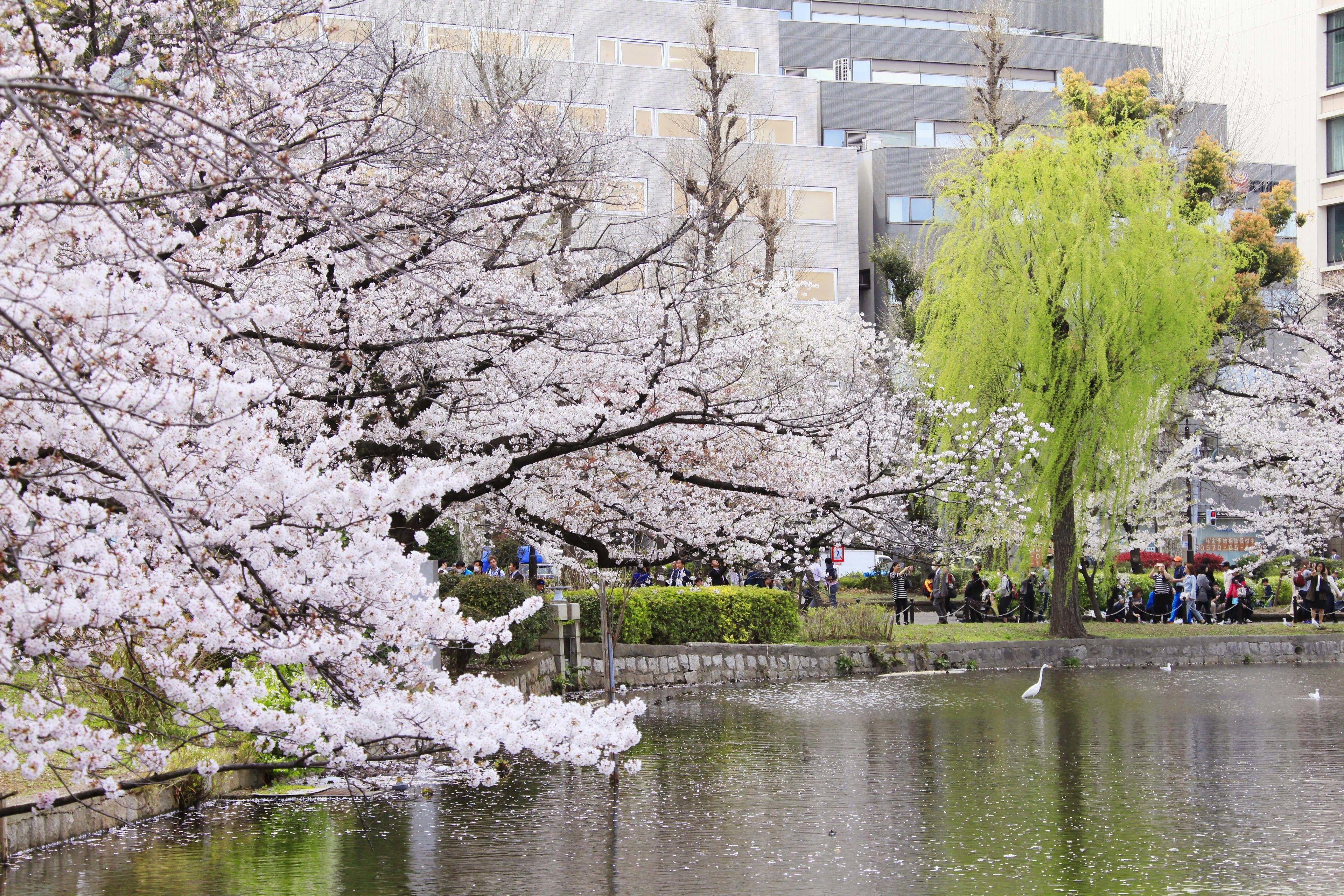 Centurion Hotel&Spa Ueno Station — Photos 1